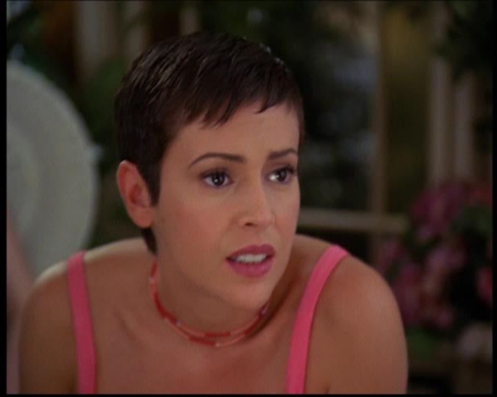 Charmed-Online_dot_net-603ForgetMe---Not0953.jpg Charmed-Online_dot_net-603ForgetMe---Not0953.jpg