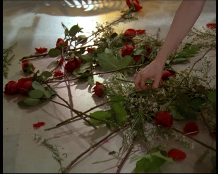 Charmed-Online-dot-net_606MyThreeWitches0258.jpg