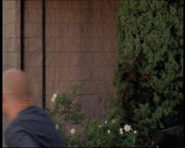 Charmed-Online-dot-net_606MyThreeWitches1481.jpg Charmed-Online-dot-net_606MyThreeWitches1481.jpg