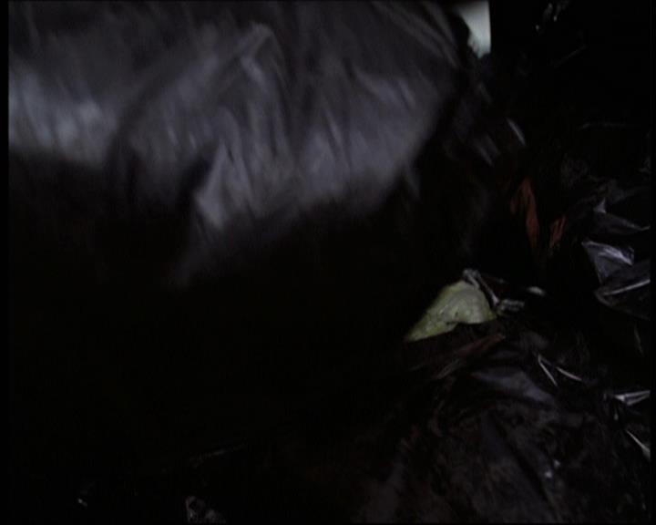 Charmed-Online-dot-net_606MyThreeWitches1862.jpg