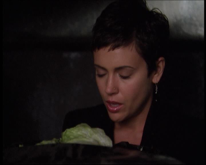 Charmed-Online-dot-net_606MyThreeWitches1942.jpg