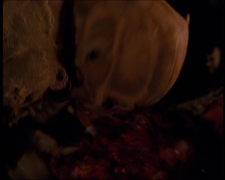 Charmed-Online-dot-609LittleMonsters1828.jpg Charmed-Online-dot-609LittleMonsters1828.jpg