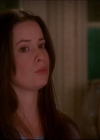 Charmed-Online-dot-611WitchStock2124.jpg