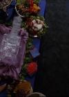 Charmed-Online-dot-613UsedKarma1491.jpg