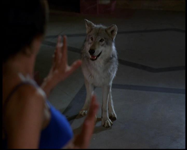 Charmed-Online-dot-614TheLegendOftheSleepyHalliwell0780.jpg
