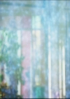 Charmed-Online-dot-615IDreamOfPhoebe0406.jpg