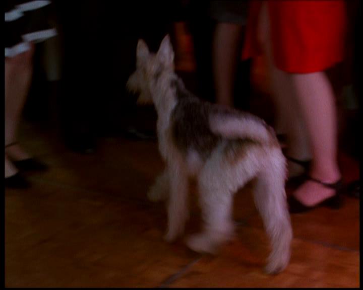 Charmed-Online-dot-617HydeSchoolReunion0974.jpg