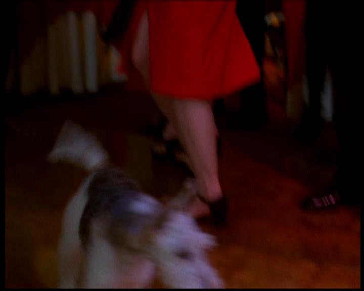 Charmed-Online-dot-617HydeSchoolReunion0976.jpg