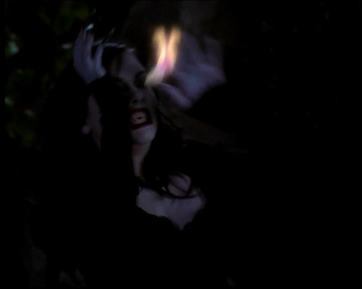 Charmed-Online-dot-618SpinCity1785.jpg