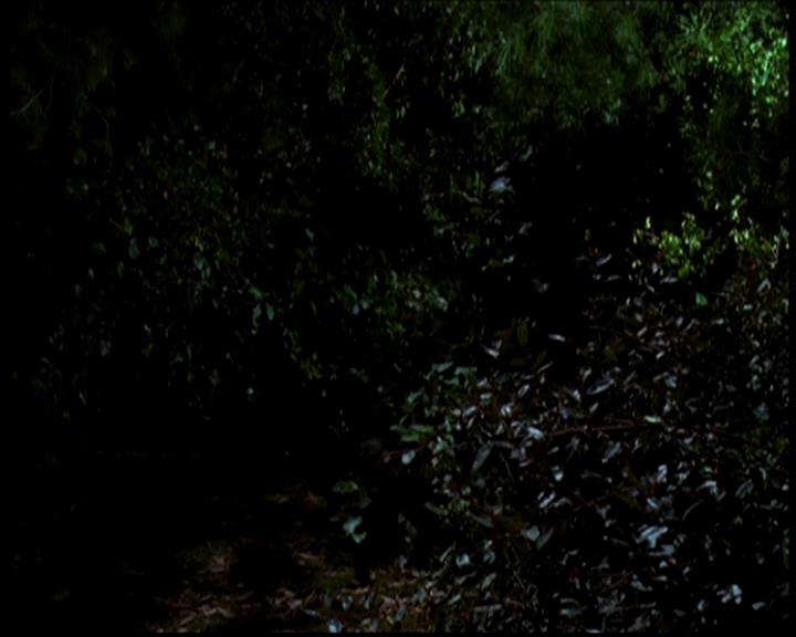 Charmed-Online-dot-618SpinCity1888.jpg