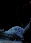 Charmed-Online-dot-618SpinCity1862.jpg