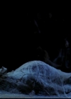 Charmed-Online-dot-618SpinCity1863.jpg