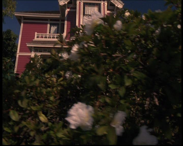 Charmed-Online_dot_net-7x03CheaperByTheCoven2288.jpg