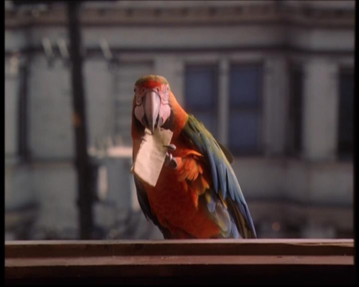 Charmed-Online_dot_net--7x04Charrrmed1904.jpg Charmed-Online_dot_net--7x04Charrrmed1904.jpg