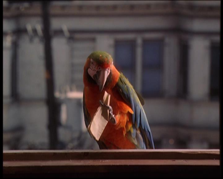 Charmed-Online_dot_net--7x04Charrrmed1906.jpg Charmed-Online_dot_net--7x04Charrrmed1906.jpg