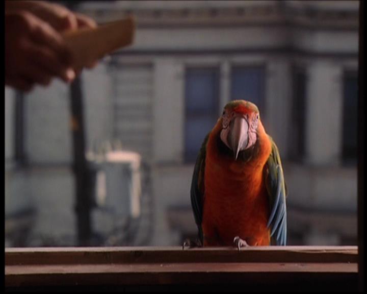 Charmed-Online_dot_net--7x04Charrrmed1917.jpg