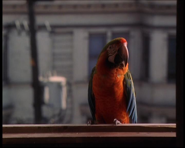 Charmed-Online_dot_net--7x04Charrrmed1926.jpg