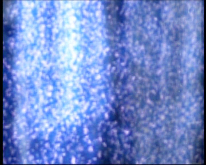 Charmed-Online-dot-net_708CharmedNoir2309.jpg