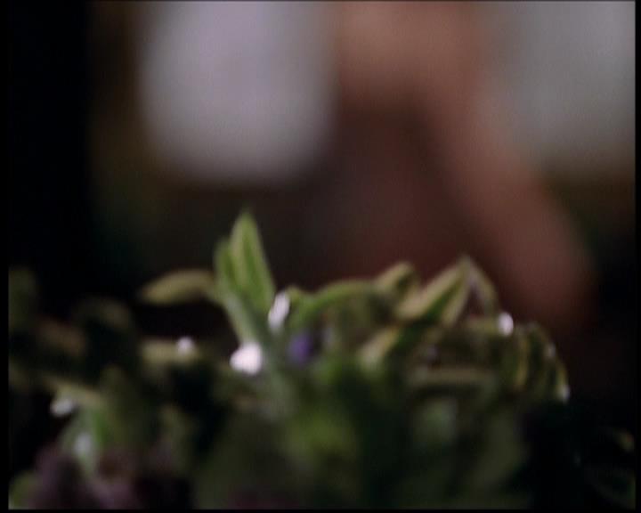 Charmed-Online-dot-709TheresSomethingAboutLeo0799.jpg