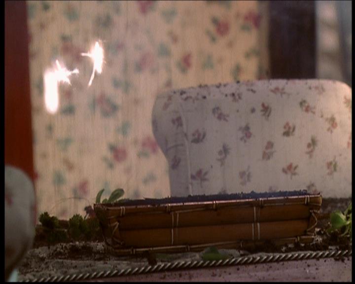 Charmed-Online-dot-709TheresSomethingAboutLeo1356.jpg