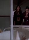 Charmed-Online-dot-710WitchnessProtection1490.jpg