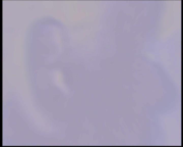 Charmed-Online-dot-711OrdinaryWitches1169.jpg