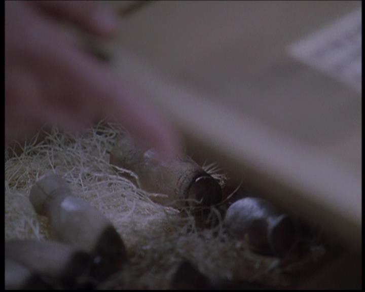 Charmed-Online-dot-711OrdinaryWitches1479.jpg