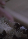 Charmed-Online-dot-711OrdinaryWitches1479.jpg