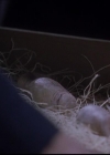 Charmed-Online-dot-711OrdinaryWitches1480.jpg