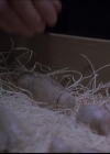 Charmed-Online-dot-711OrdinaryWitches1481.jpg