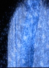 Charmed-Online-dot-711OrdinaryWitches1888.jpg
