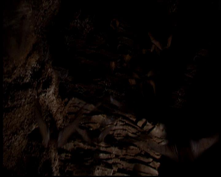 Charmed-Online-dot-722SomethingWiccaThisWayGoes1155.jpg