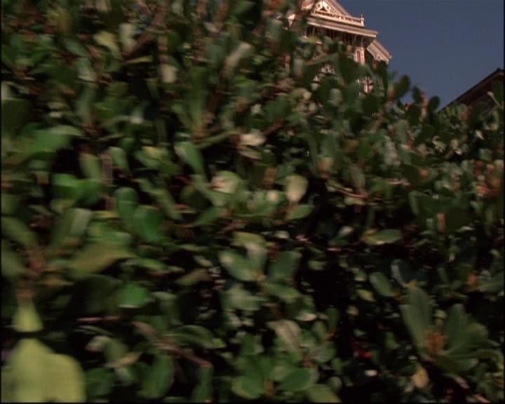Charmed-Online_dot_net-8x01StillCharmedAndKicking0738.jpg