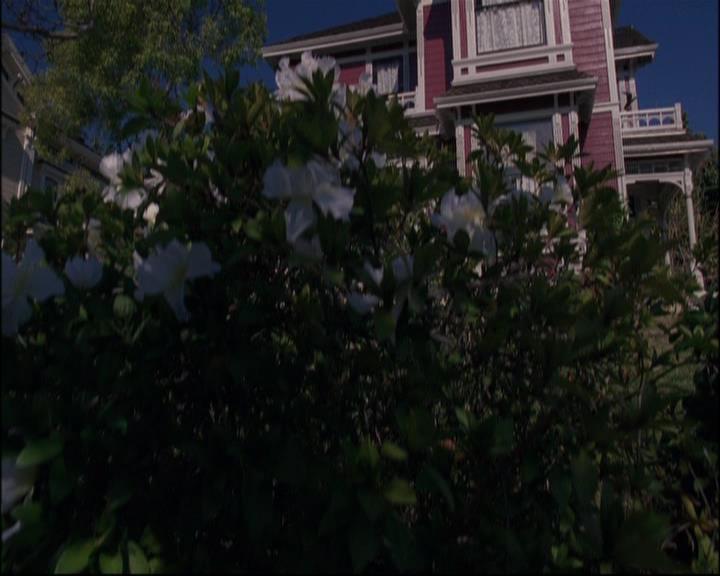 Charmed-Online-dot-net_802MaliceInWonderland0172.jpg Charmed-Online-dot-net_802MaliceInWonderland0172.jpg