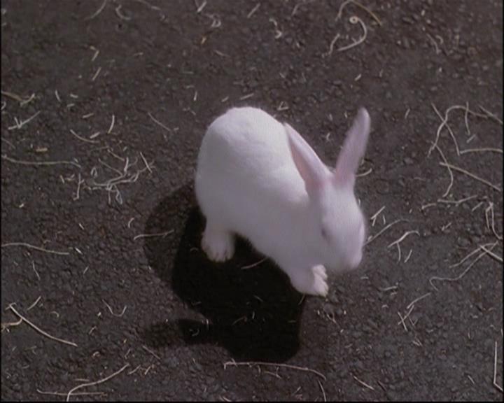 Charmed-Online-dot-net_802MaliceInWonderland1021.jpg
