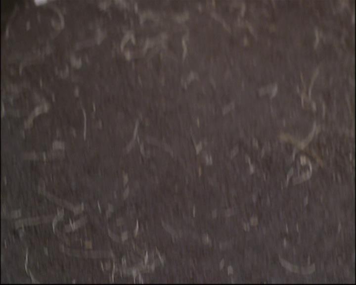 Charmed-Online-dot-net_802MaliceInWonderland1023.jpg Charmed-Online-dot-net_802MaliceInWonderland1023.jpg