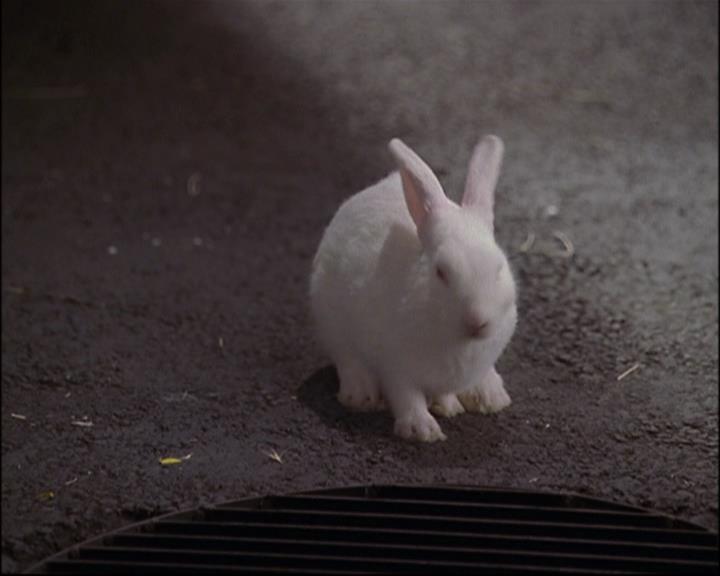 Charmed-Online-dot-net_802MaliceInWonderland1032.jpg