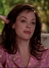 Charmed-Online-dot-net_805Rewitched1904.jpg