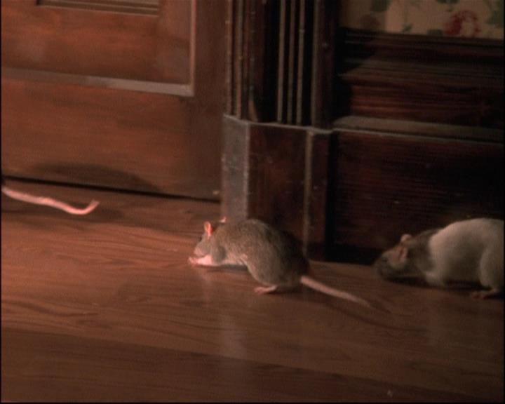 Charmed-Online-dot-net_806KillBillieVol1-0234.jpg