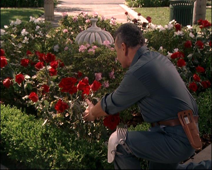 Charmed-Online-dot-net_807TheLostPictureShow0764.jpg