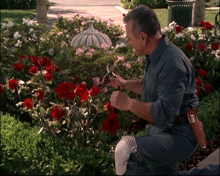 Charmed-Online-dot-net_807TheLostPictureShow0765.jpg
