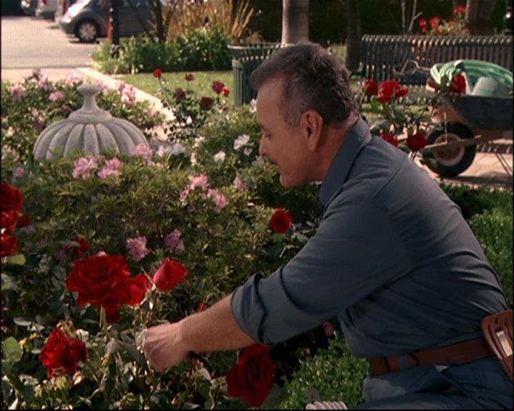 Charmed-Online-dot-net_807TheLostPictureShow0772.jpg