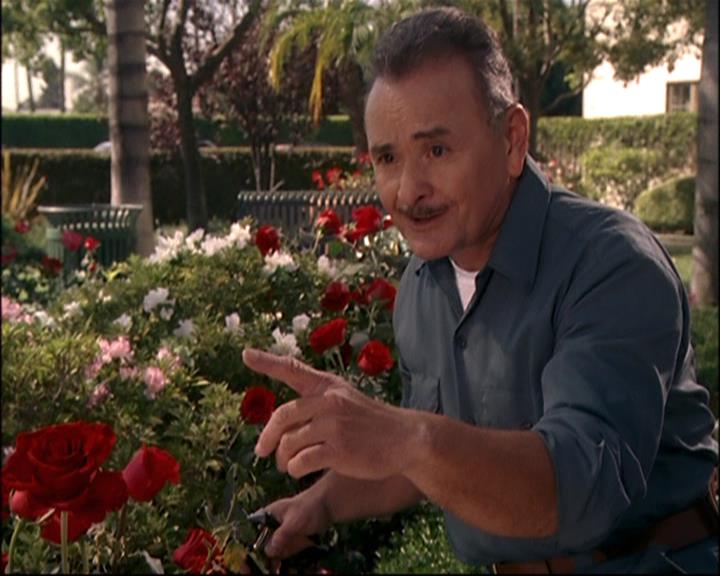 Charmed-Online-dot-net_807TheLostPictureShow0785.jpg