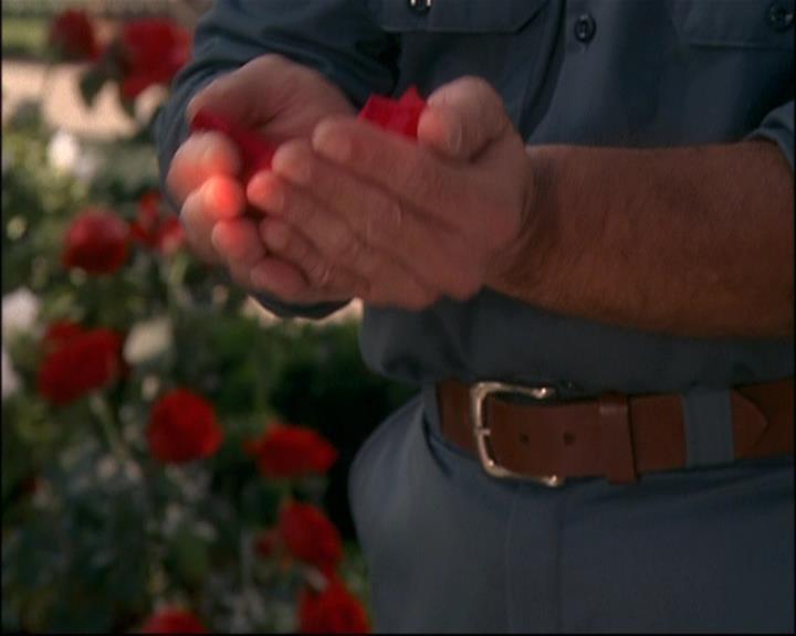 Charmed-Online-dot-net_807TheLostPictureShow0821.jpg