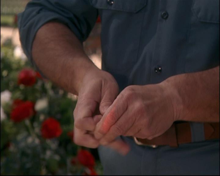 Charmed-Online-dot-net_807TheLostPictureShow0824.jpg