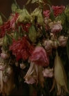 Charmed-Online-dot-net_811MrAndMrsWitch0088.jpg