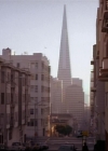 Charmed-Online-dot-net_811MrAndMrsWitch0320.jpg