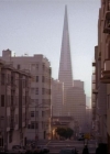 Charmed-Online-dot-net_811MrAndMrsWitch0321.jpg