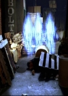 Charmed-Online-dot-net_811MrAndMrsWitch0994.jpg