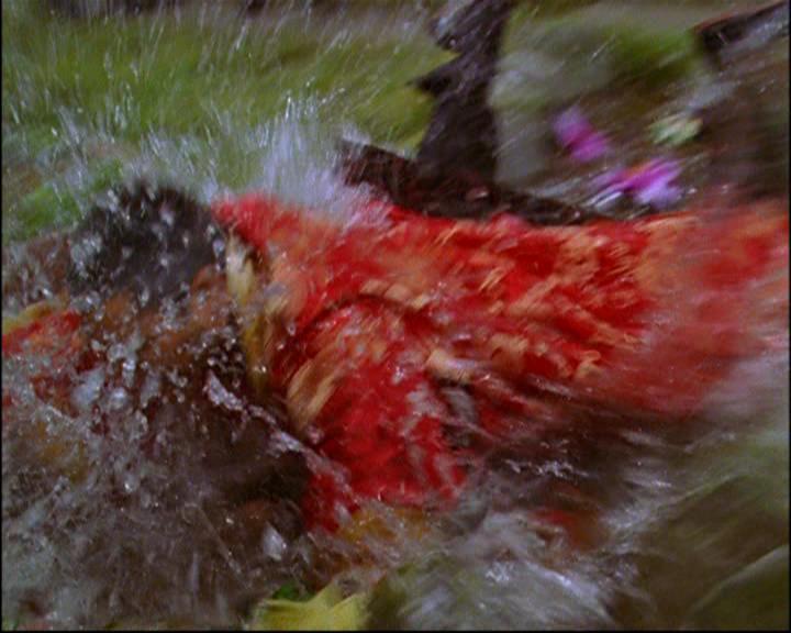 Charmed-Online-dot-814-12AngryZen0594.jpg